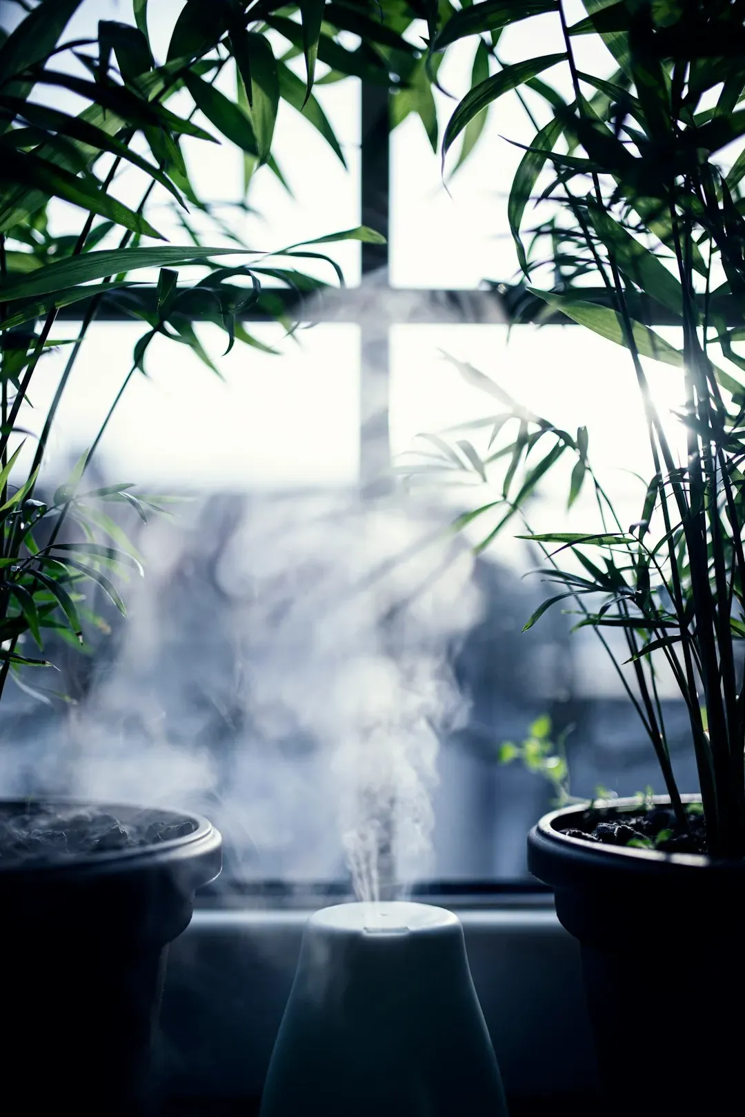 3. Poor Indoor Air Quality (Image Credits: Unsplash)