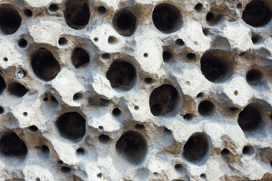 Trypophobia - The Fear of Tiny Holes (image credits: unsplash)