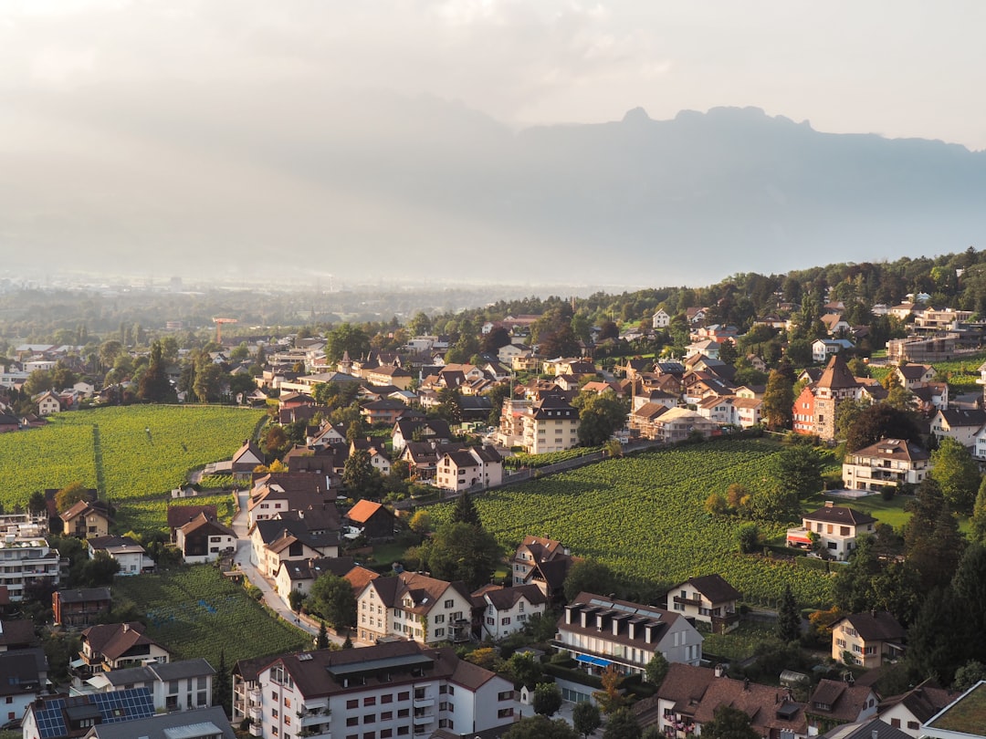 Liechtenstein: The Alpine Principality's Perfect Safety Record (image credits: unsplash)