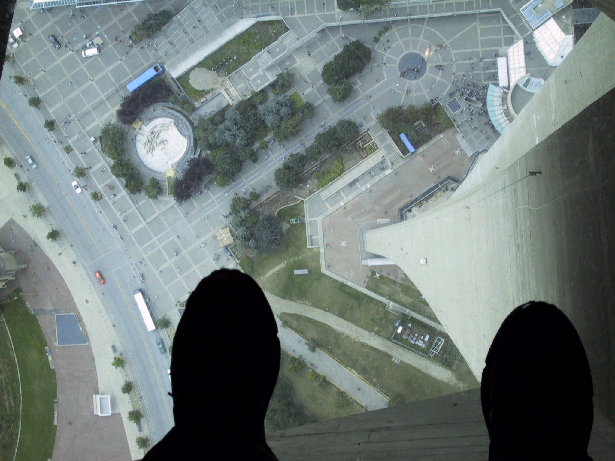 Acrophobia: Heights That Hijack Your Brain (image credits: wikimedia)