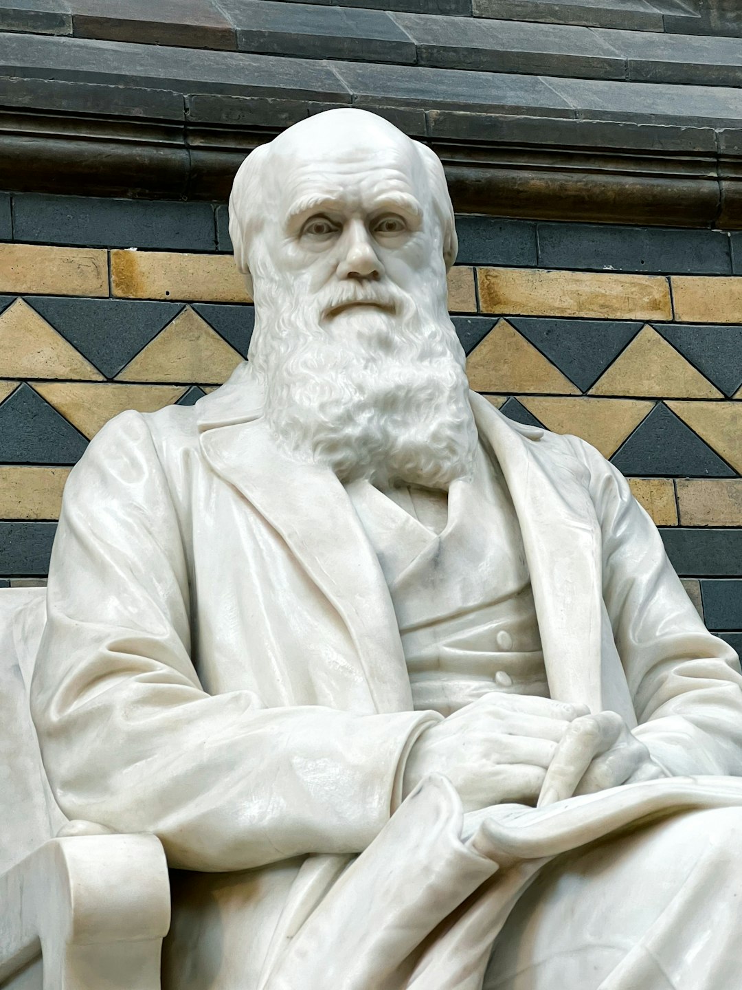 Charles Darwin's Agoraphobia Ended His Exploring Days (image credits: unsplash)