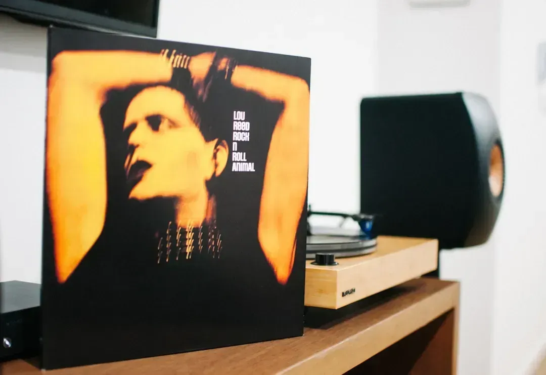 10. Lou Reed - Street Hassle (1978) (Image Credits: Unsplash)