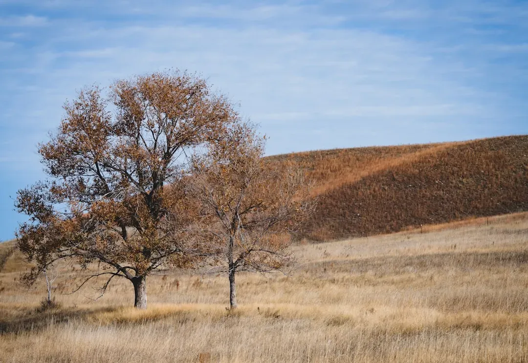 4. South Dakota - No Income Tax, Lower Profile (Image Credits: Unsplash)