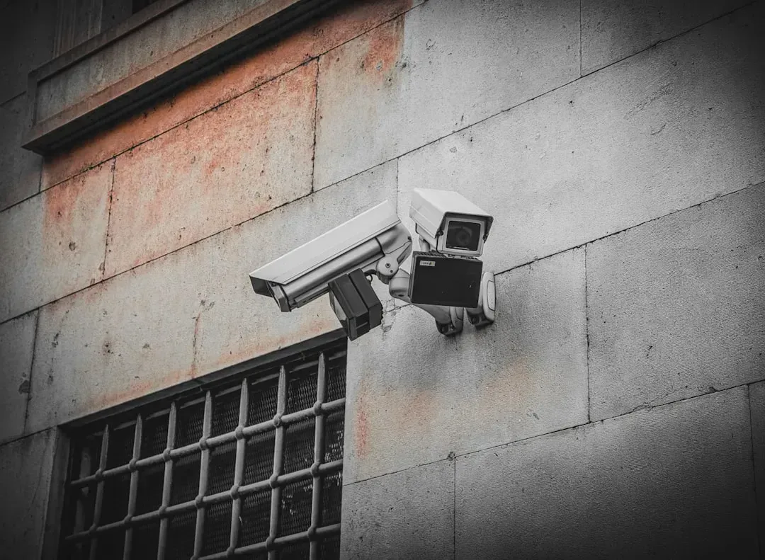 Newly Released Surveillance Footage Adds to the Picture (Image Credits: Unsplash)