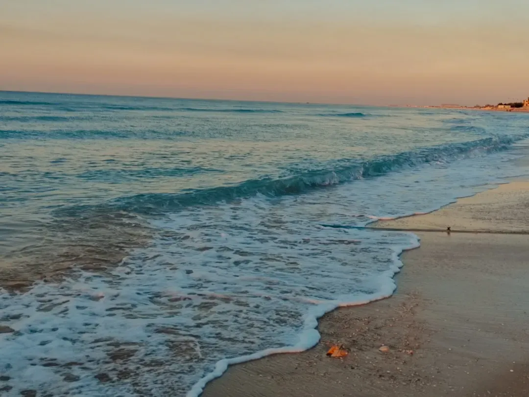 The Shallow Seas Problem (Image Credits: Unsplash)