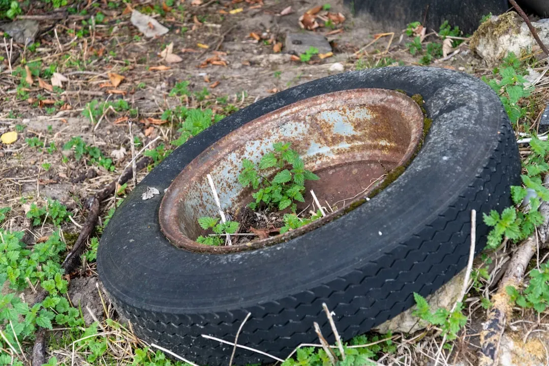 5. Old Tires (Image Credits: Unsplash)