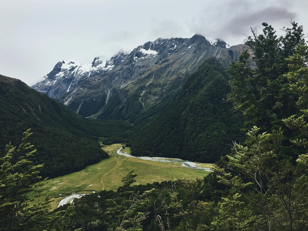New Zealand's Wilderness Has Zero Deadly Animals (image credits: rawpixel)