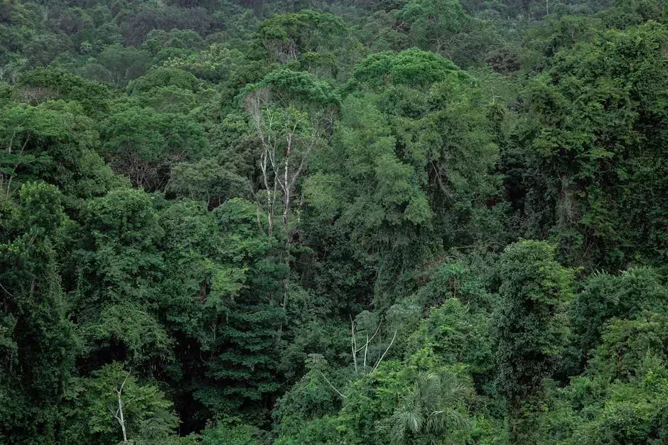 3. The Darien Gap: Where Wilderness Becomes Genuinely Dangerous (Image Credits: Pexels)