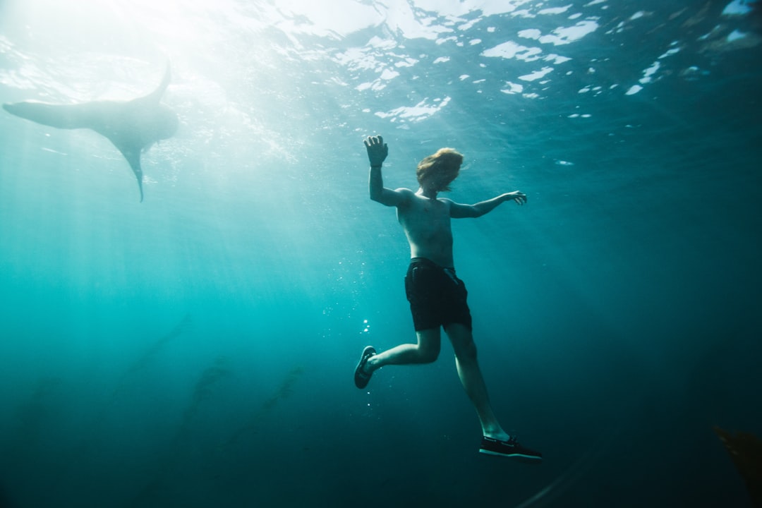 Sharks Go into a Feeding Frenzy When They Smell Blood (image credits: unsplash)