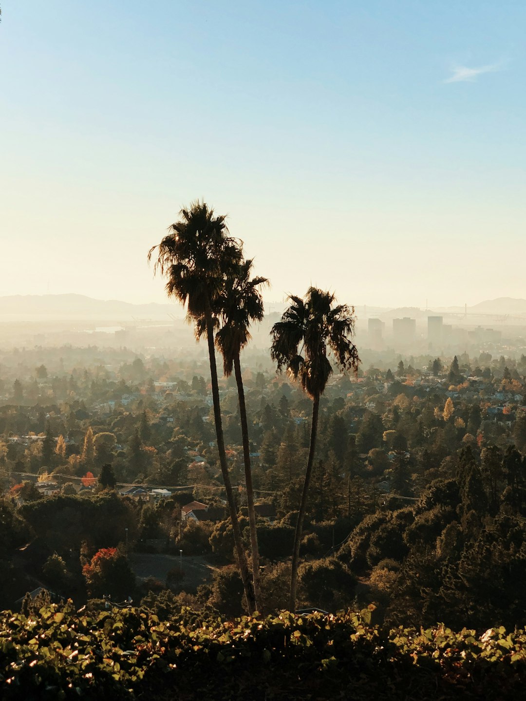 Oakland: Earthquake Country with Fire Risks (image credits: unsplash)