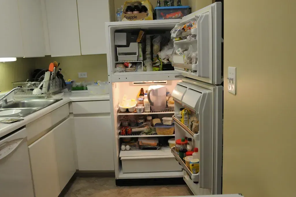 2. Constantly Opening the Refrigerator and Freezer (peapod labs, Flickr, CC BY 2.0)