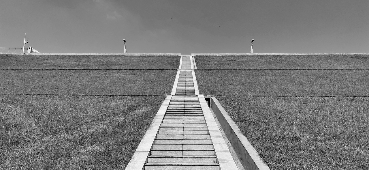 Gradual Steps Using an Exposure Hierarchy (image credits: pixabay)