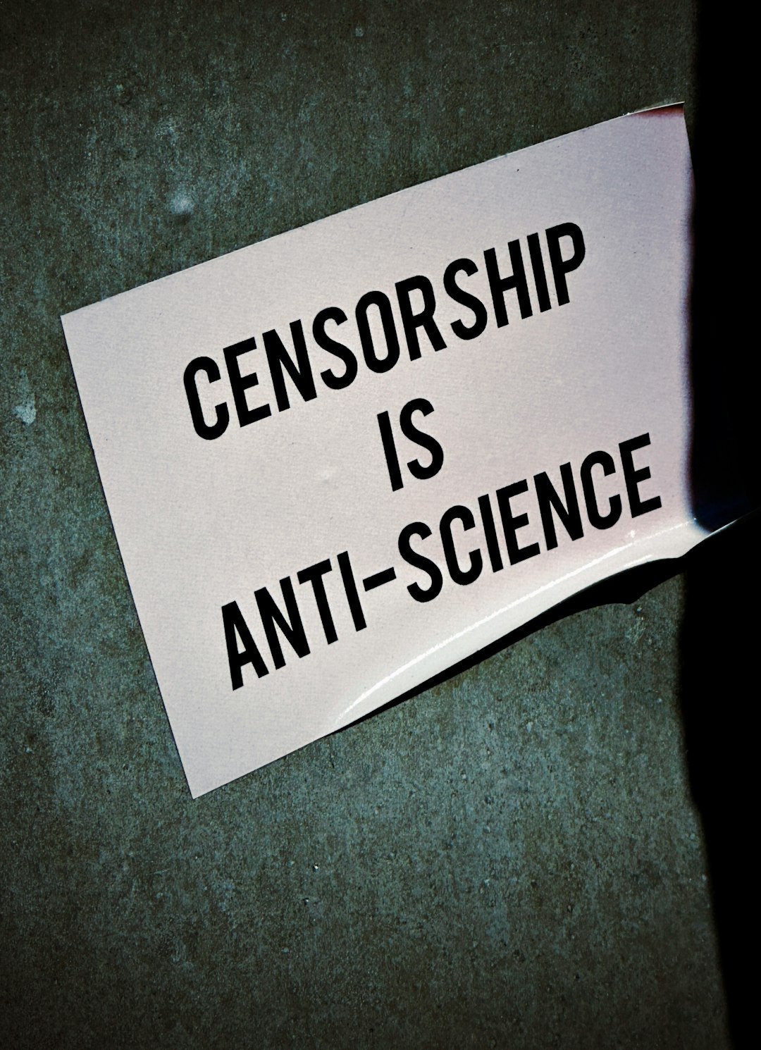 When Truth Became Treason (image credits: unsplash)