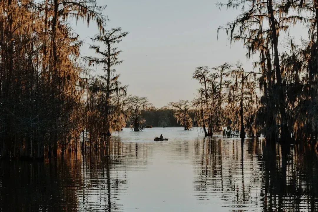 2. Louisiana: Sinking and Flooding at the Same Time (Image Credits: Unsplash)