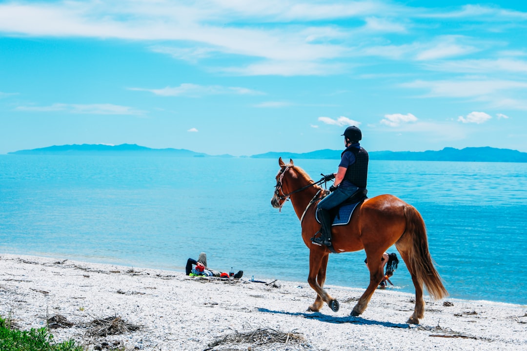 New Zealand: The Pacific Paradise of Peace (image credits: unsplash)
