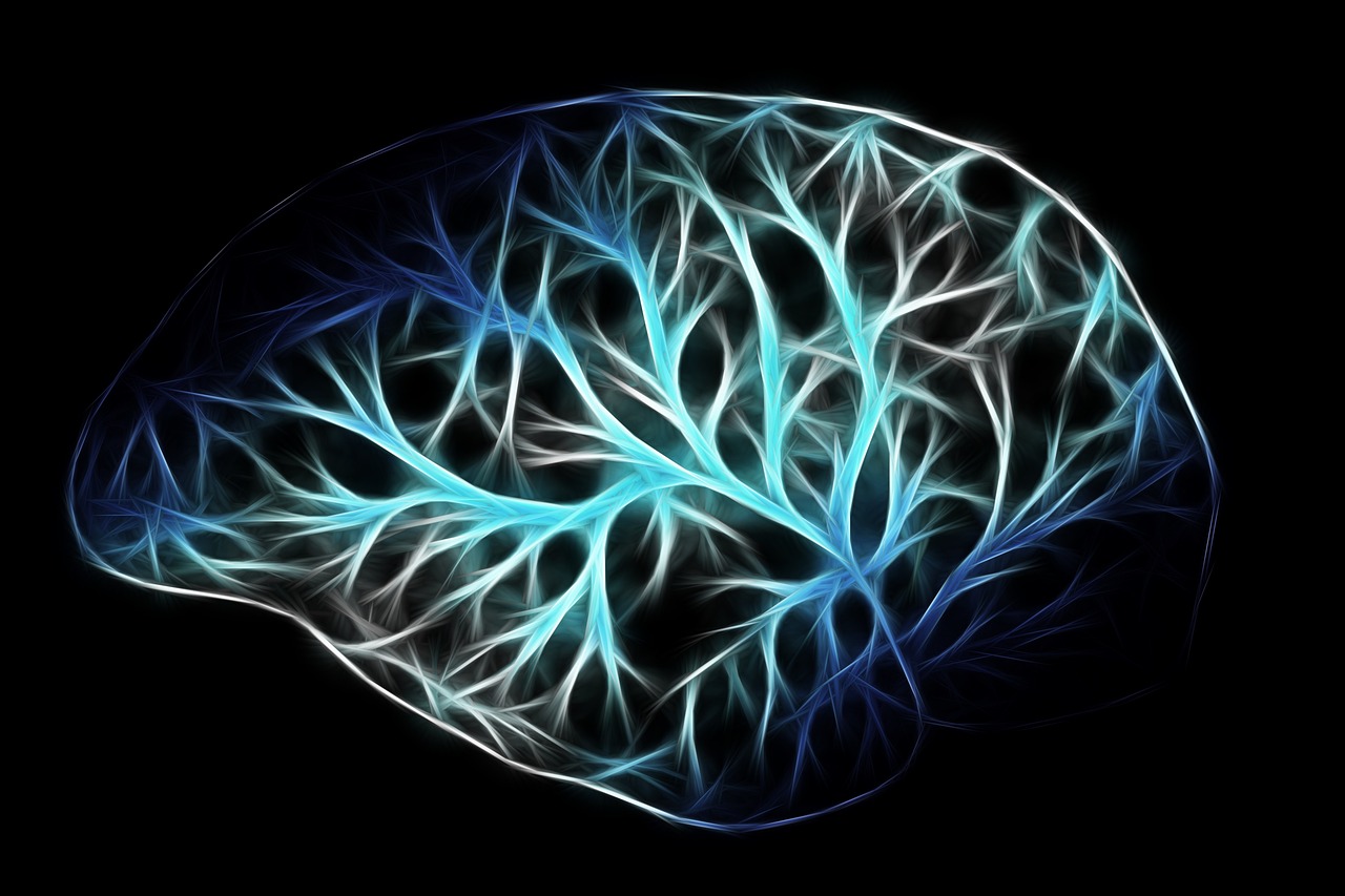 Enhanced Memory Formation Through Emotional Processing (image credits: pixabay)