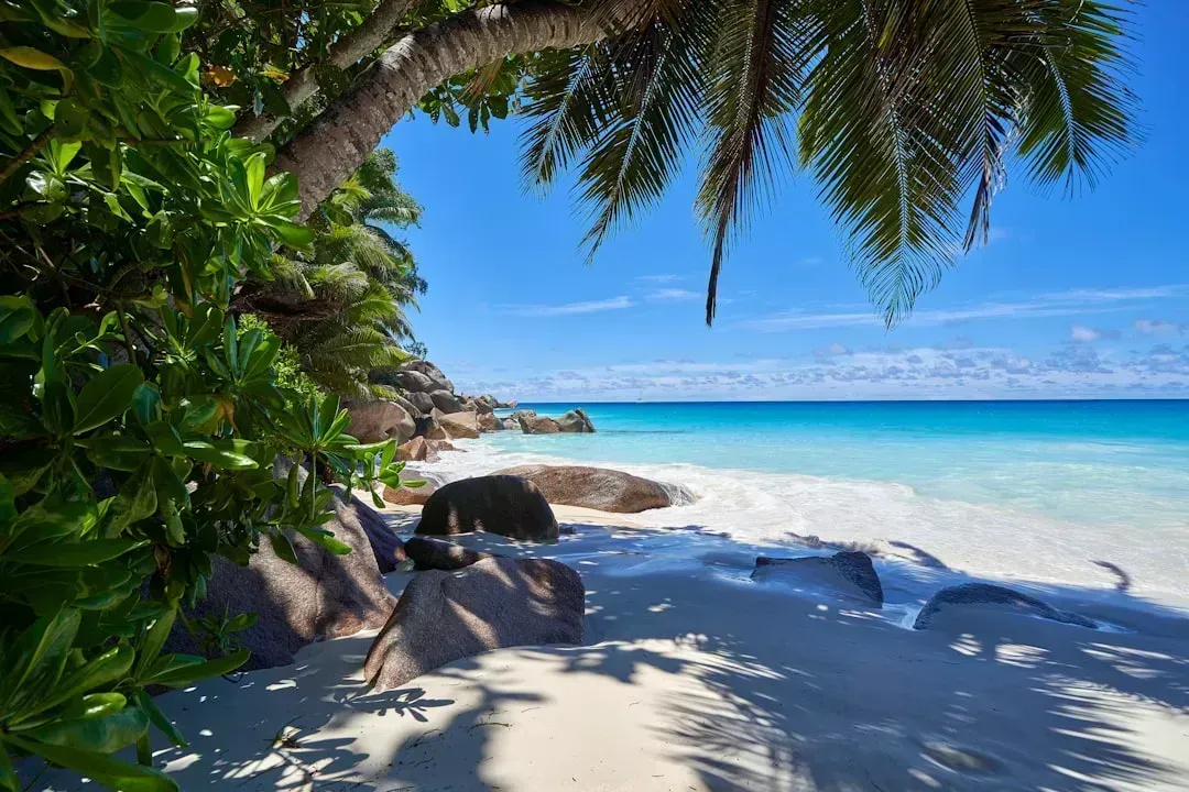 9. The Seychelles: The Quietest Beaches on Earth (Image Credits: Unsplash)