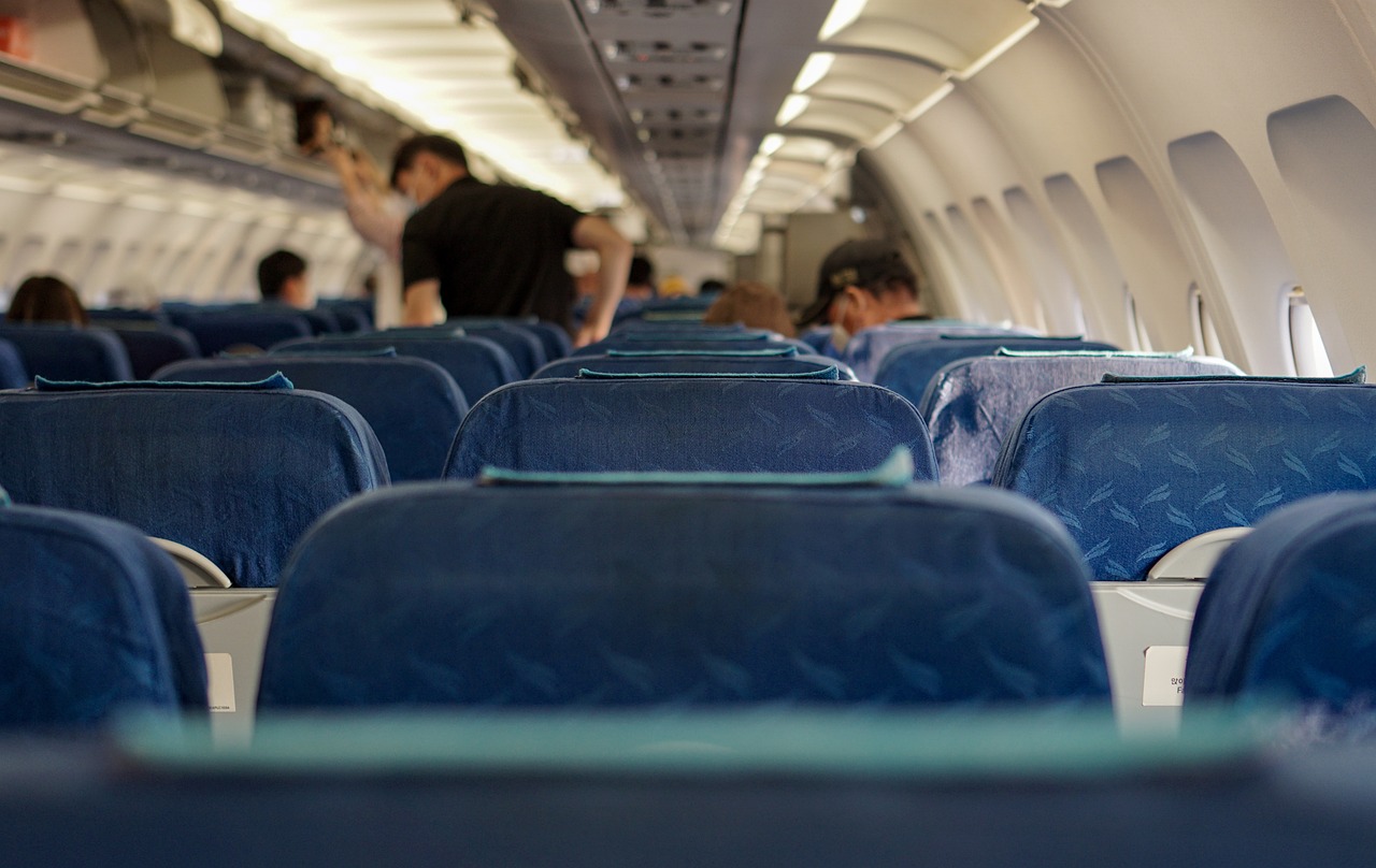 Commercial Aviation: Flying High Above Highway Hazards (image credits: pixabay)