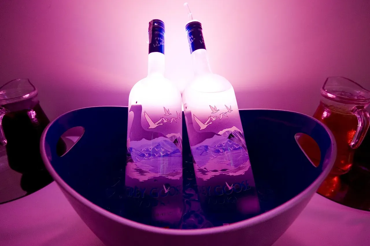 6. The Double Vodka Rocks as a First Order (Image Credits: Pixabay)