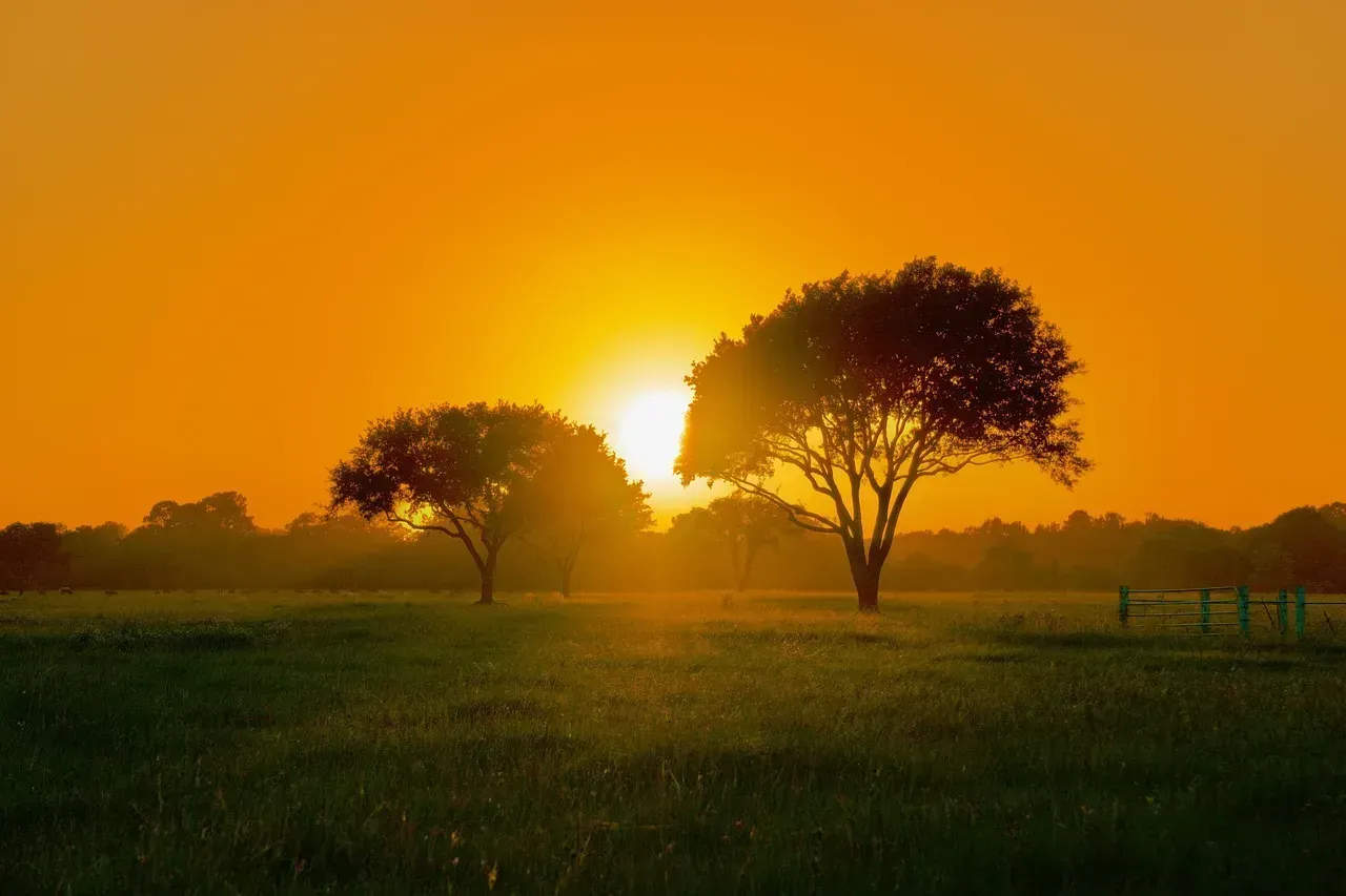 4. Brownsville, Texas - Desert Heat Meets Gulf Moisture (Image Credits: Pixabay)