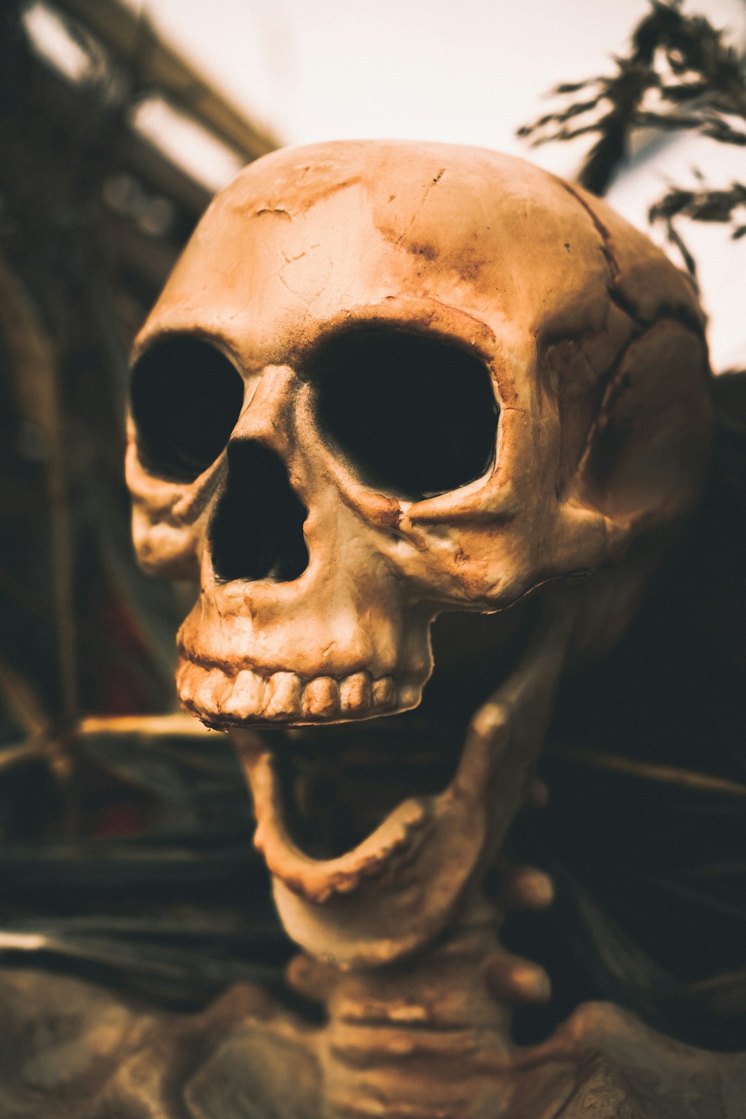 The Universal Human Fear That Transcended Cultures (image credits: unsplash)