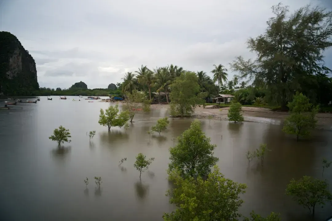 Southeast Asia: Preparing for the Storms That Keep Coming (Image Credits: Unsplash)