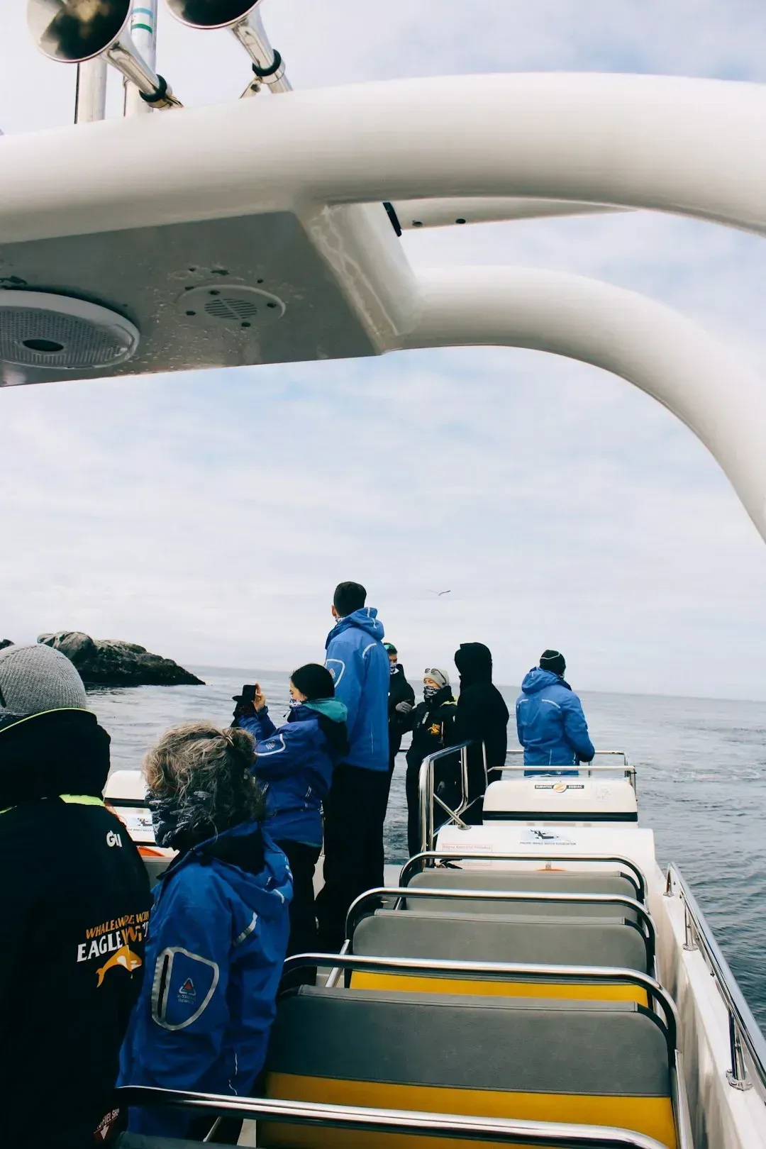 9. "Helping" with Tender Boats or Shore Operations (Image Credits: Unsplash)