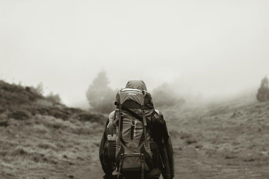 The Pandemic's Lasting Impact on Travel Anxiety (image credits: unsplash)