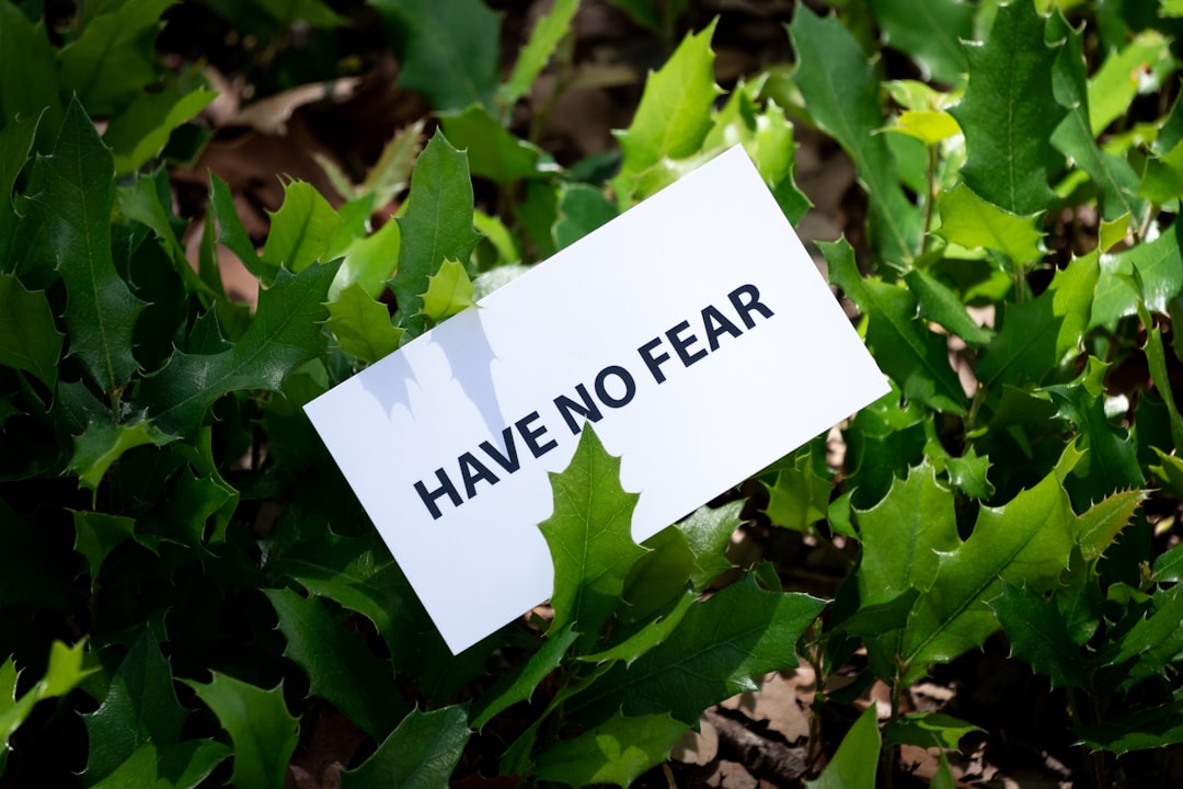 The Science Behind Fear and Avoidance (image credits: unsplash)