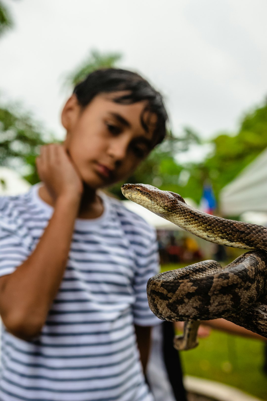 Children's Literature and Snake Villains (image credits: unsplash)