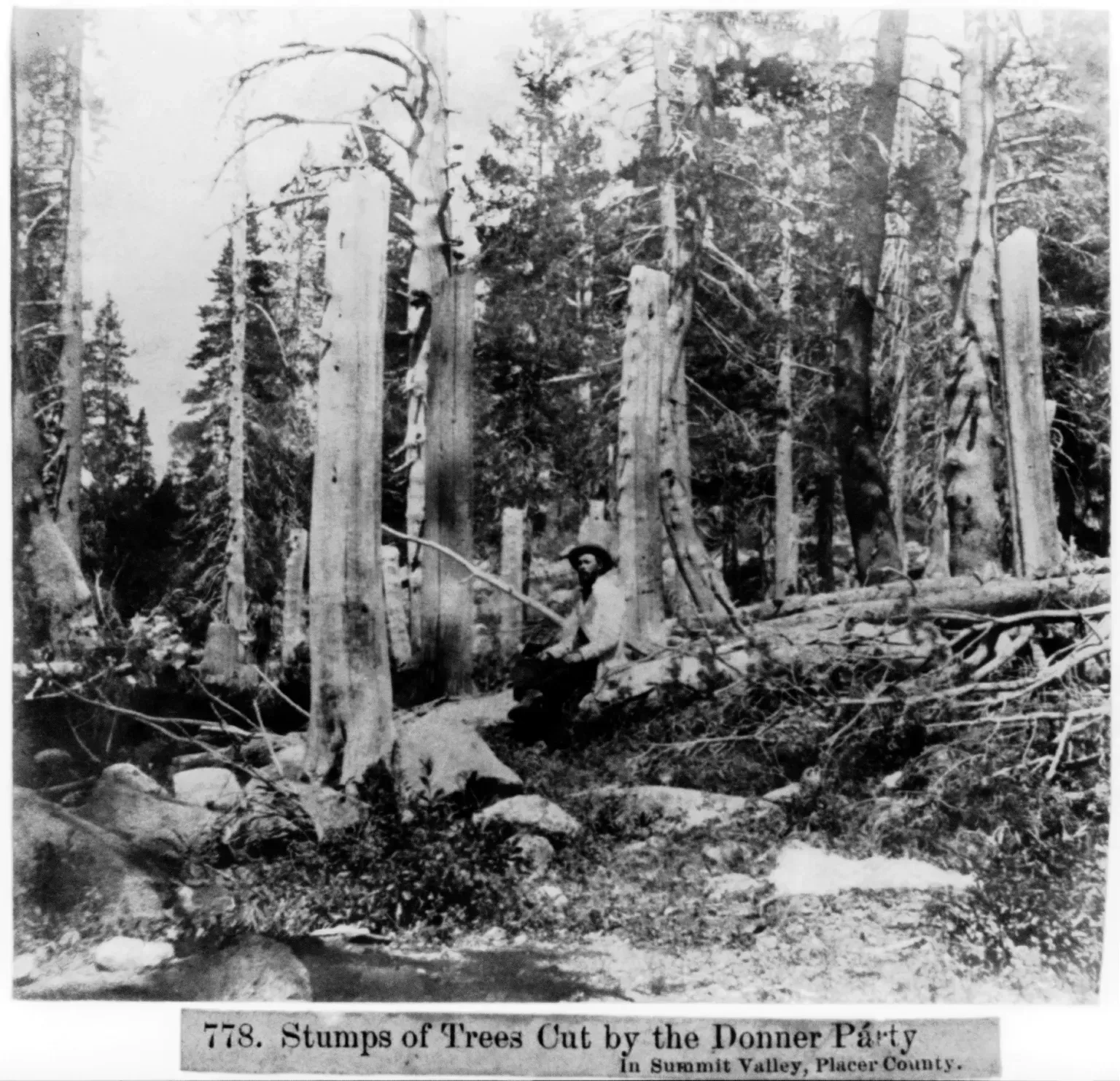 2. The Donner Party: A Shortcut That Became a Death Sentence (Image Credits: This image is available from the United States Library of Congress's Prints and Photographs division under the digital ID cph.3a28397.This tag does not indicate the copyright status of the attached work. A normal copyright tag is still required. See Commons:Licensing., Public domain)