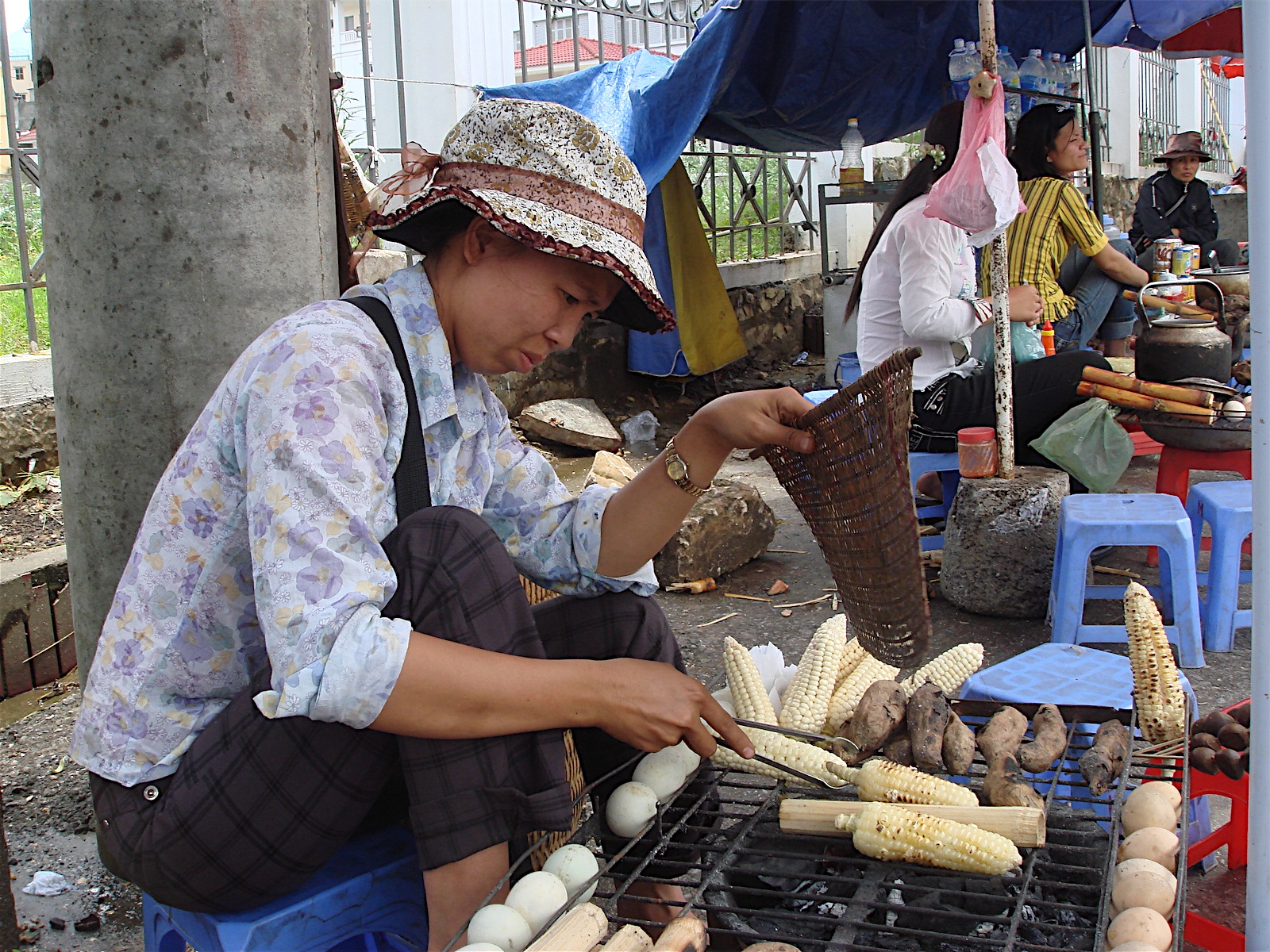 Vietnam: The Gentle Giant of Southeast Asia (image credits: wikimedia)