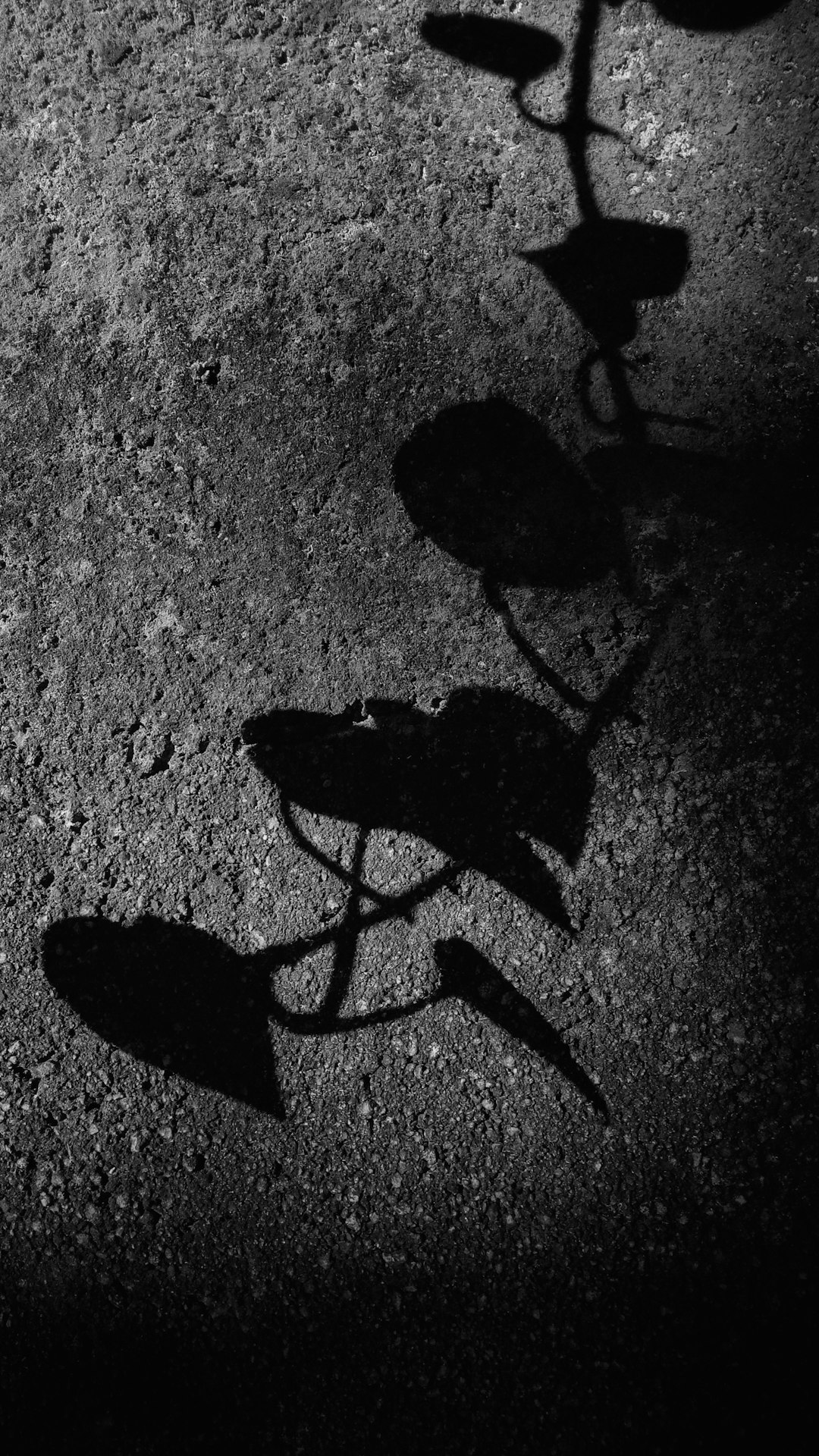 The Psychology Behind Pandemic Rumors (image credits: unsplash)