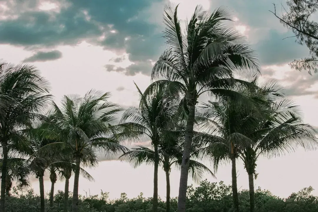5. Florida: The Automatic Answer That Deserves a Second Look (Image Credits: Unsplash)