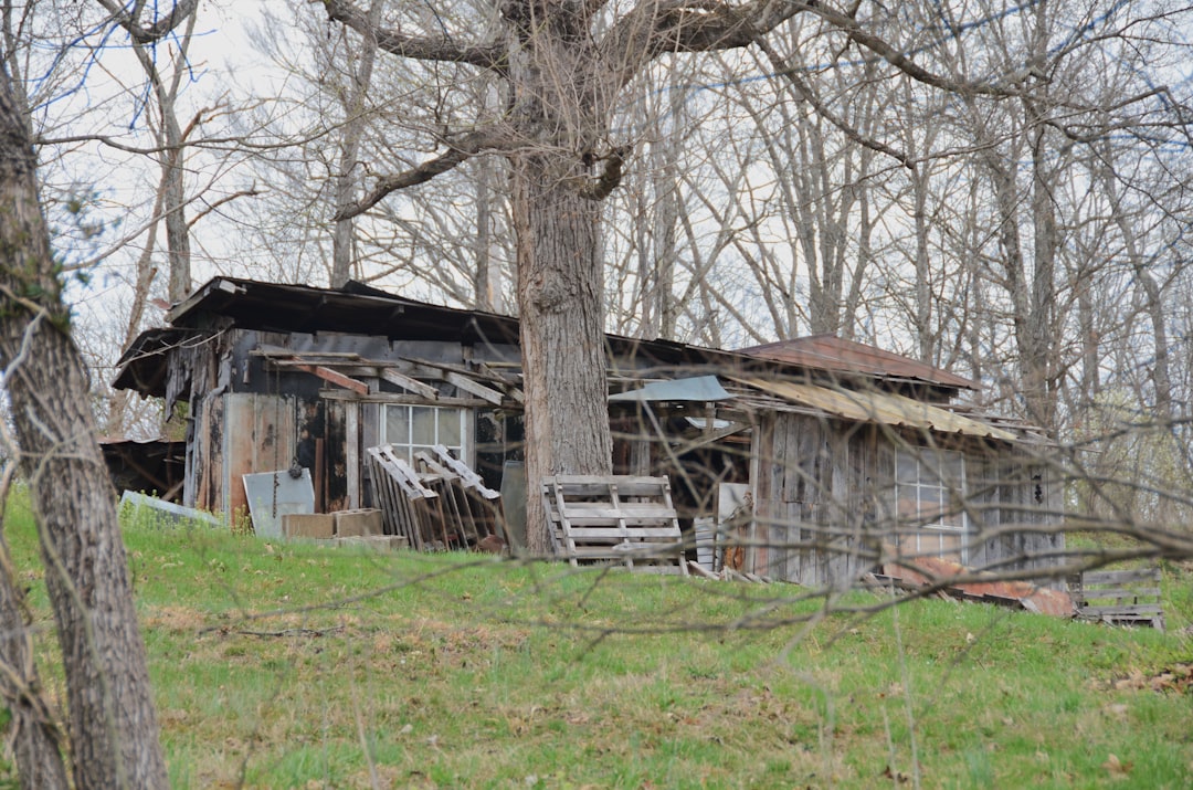 Jackson, Mississippi - Capital City Crisis (image credits: pixabay)