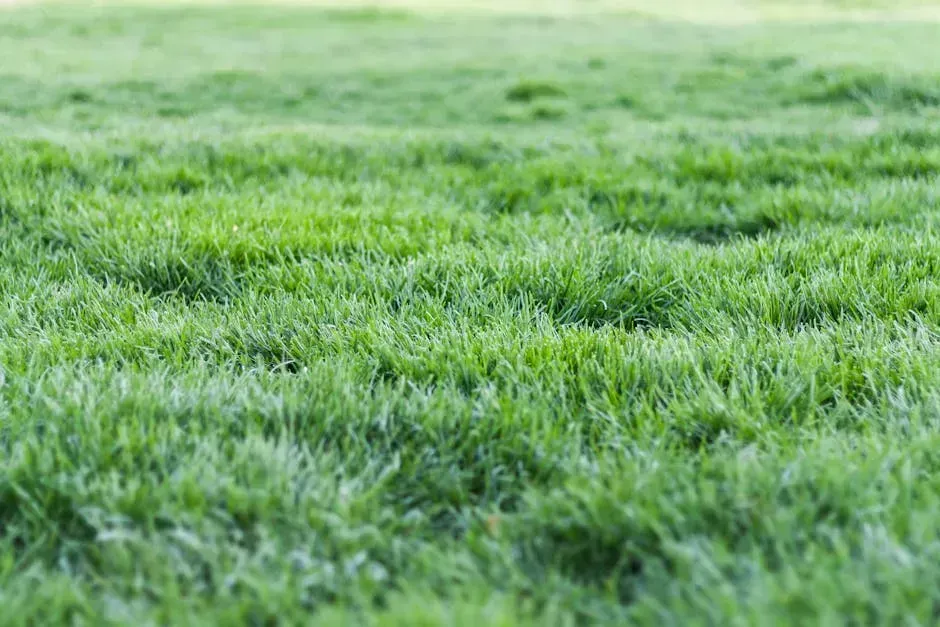 7. Mowing Right After Rain or Watering (Image Credits: Pexels)