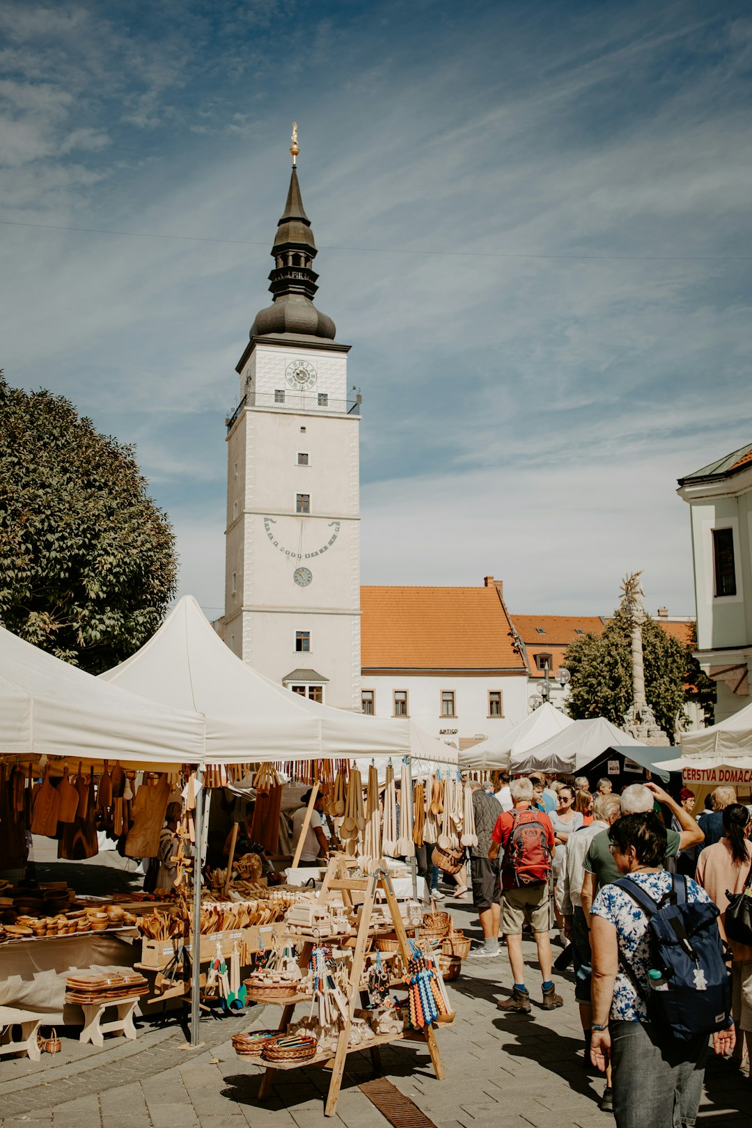 How Disease Transformed Medieval Marriage Markets (image credits: unsplash)