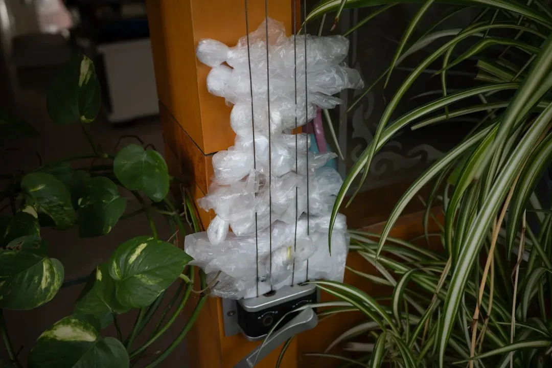 Plastic Bags and Excess Food Containers (Image Credits: Unsplash)