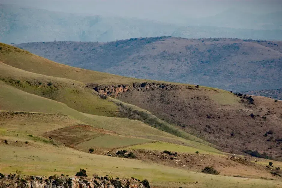 10. South Africa: Extraordinary Beauty, Extraordinary Danger (Image Credits: Pexels)