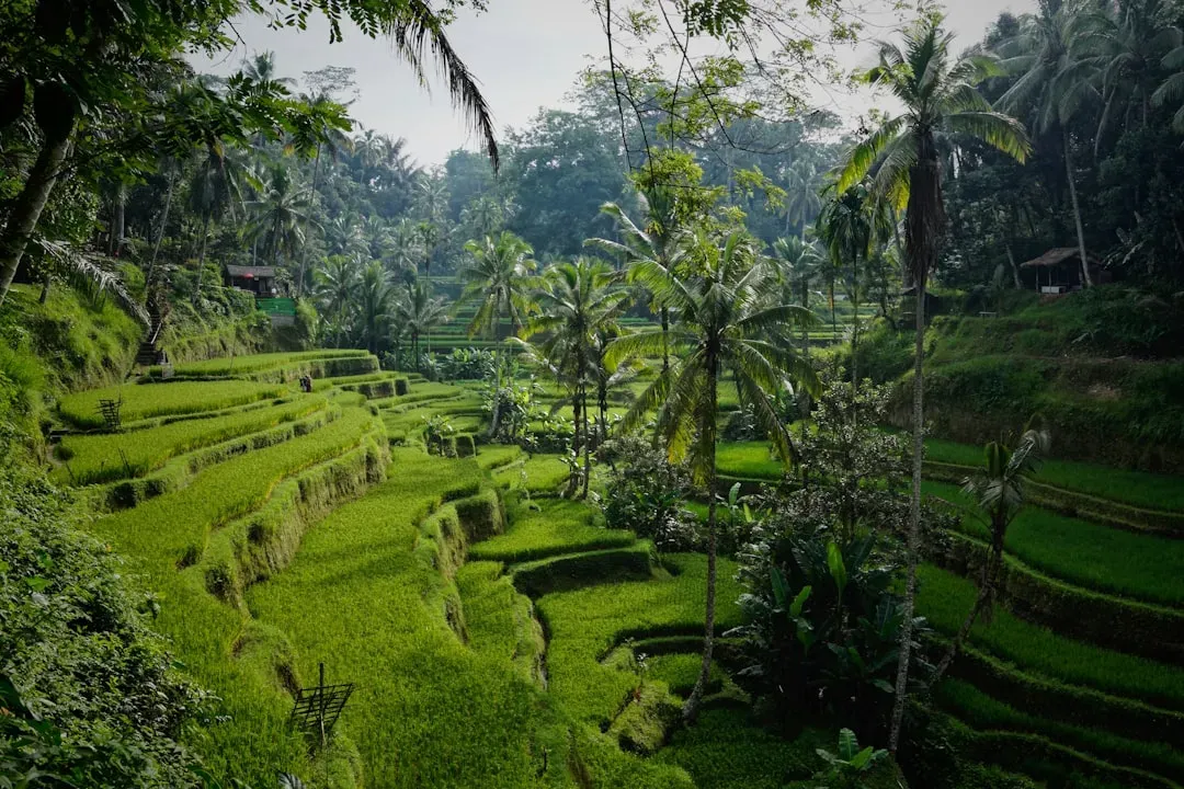 3. Indonesia - Bali and Beyond (Image Credits: Unsplash)