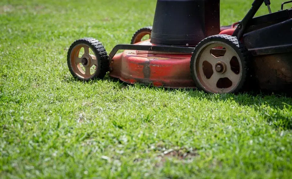 2. Scalping the Lawn by Cutting Too Low (Image Credits: Pexels)