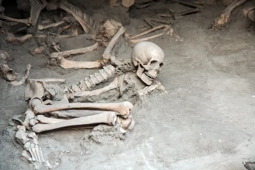 10. The Herculaneum Dead: Skulls That Literally Exploded (adeshfr, Flickr, CC BY 2.0)
