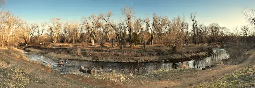 Drought Is No Longer Somebody Else's Problem (Image Credits: Unsplash)