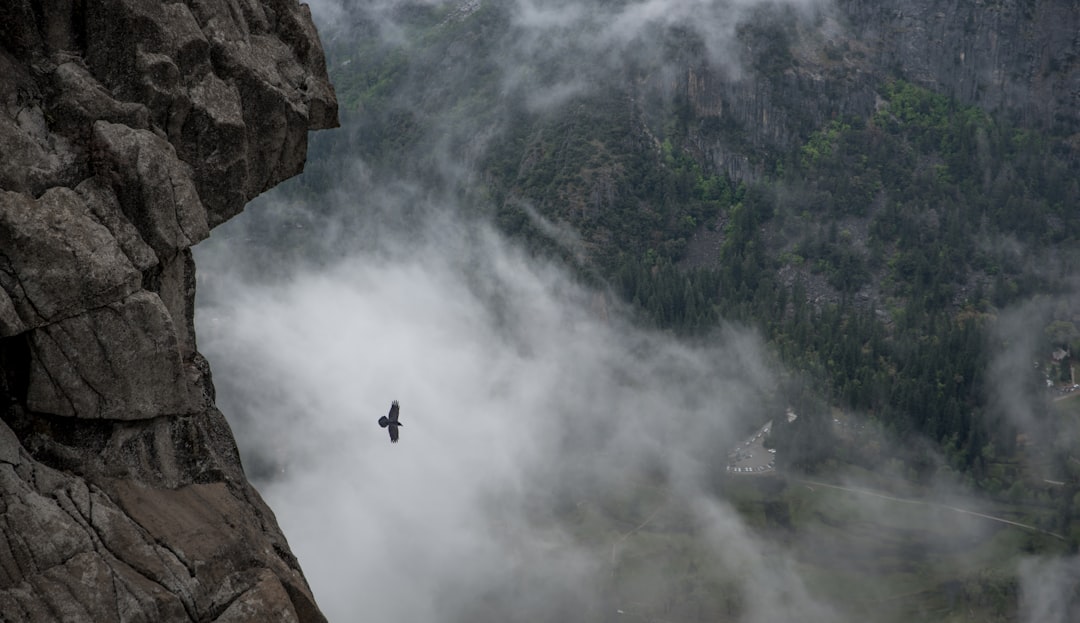 Generalized Anxiety Disorder: The Amplification Effect (image credits: unsplash)