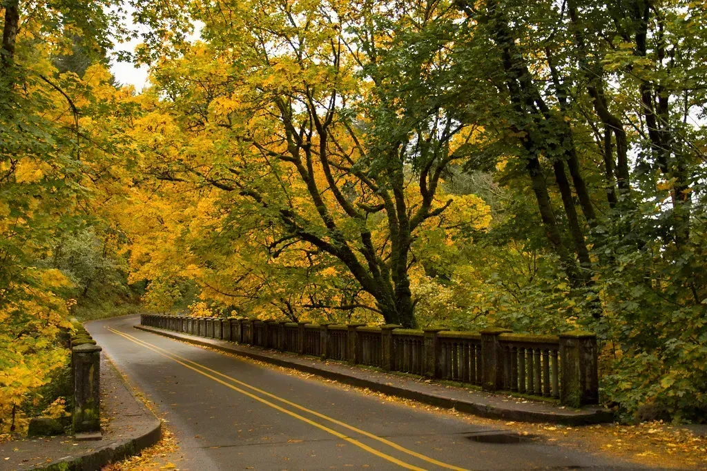 5. Oregon's Historic Columbia River Highway (Image Credits: Flickr)