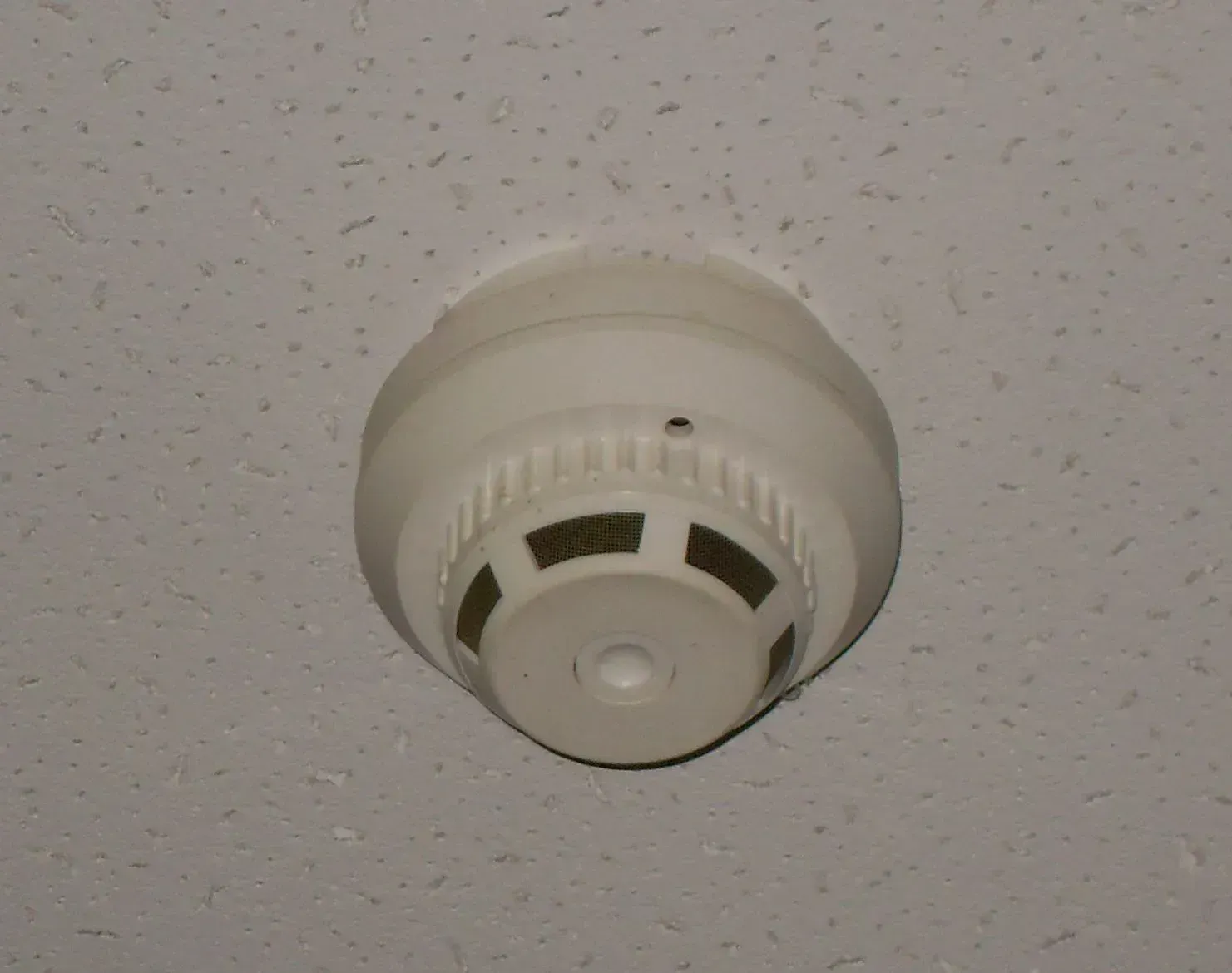 The Smoke Detector's Anxiety-Inducing Chirp (Image Credits: Wikimedia)