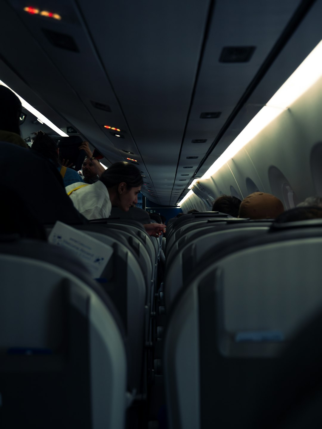 Aerophobia - The Fear That Ignores Statistics (image credits: unsplash)