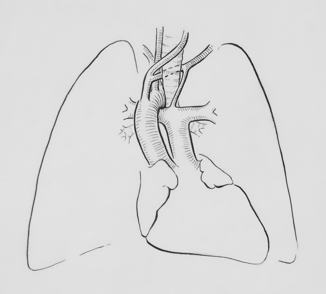 Diaphragmatic Breathing: The Foundation Technique (image credits: unsplash)