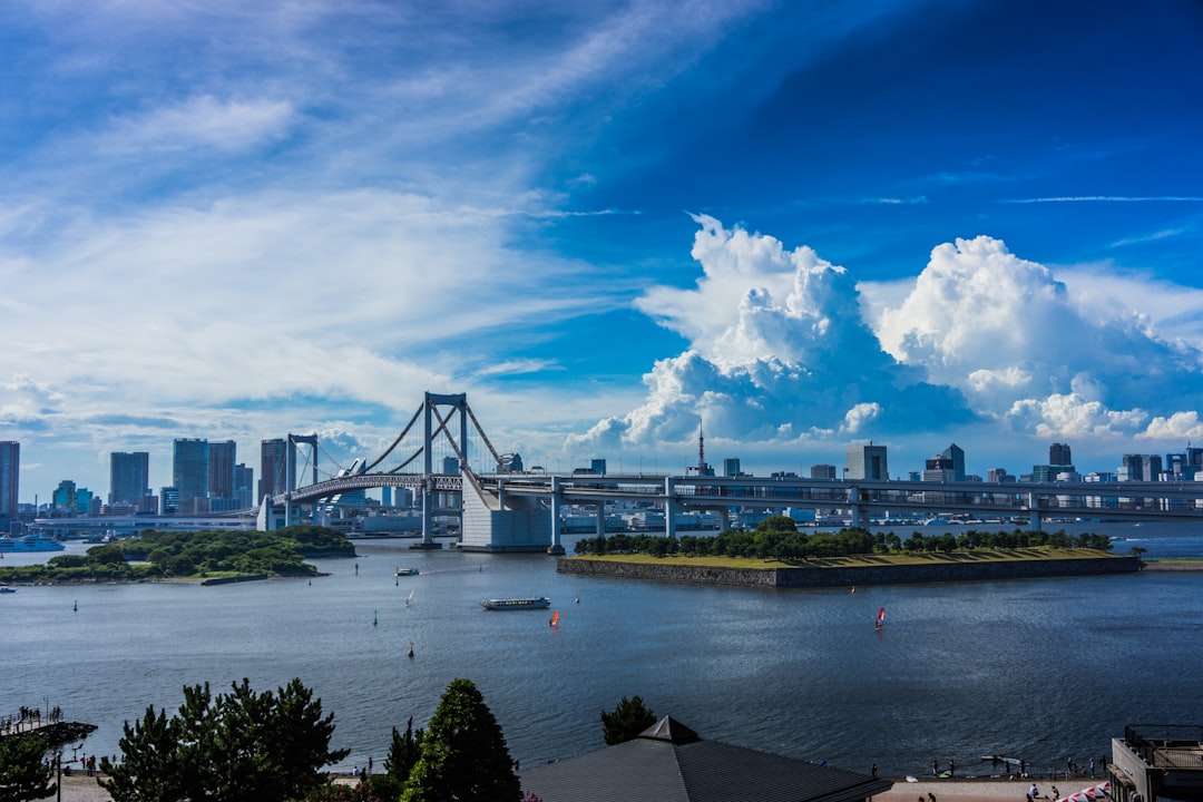 Tokyo's Tsunami Terror (image credits: unsplash)