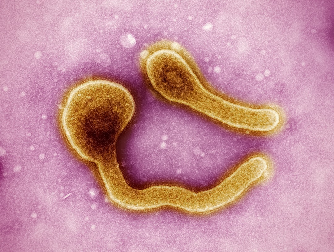 The Third Cholera Pandemic: When Water Became the Enemy (image credits: unsplash)